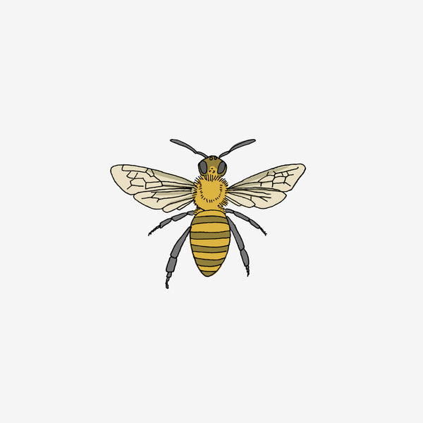 Temporary Tattoo Pairs - Honeybee