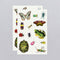 Temporary Tattoo Sheets - Critters on the Move